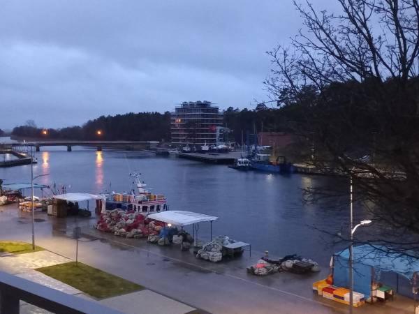 Apartament Z Widokiem Na Morze I Port Mrzezyno Bagian luar foto